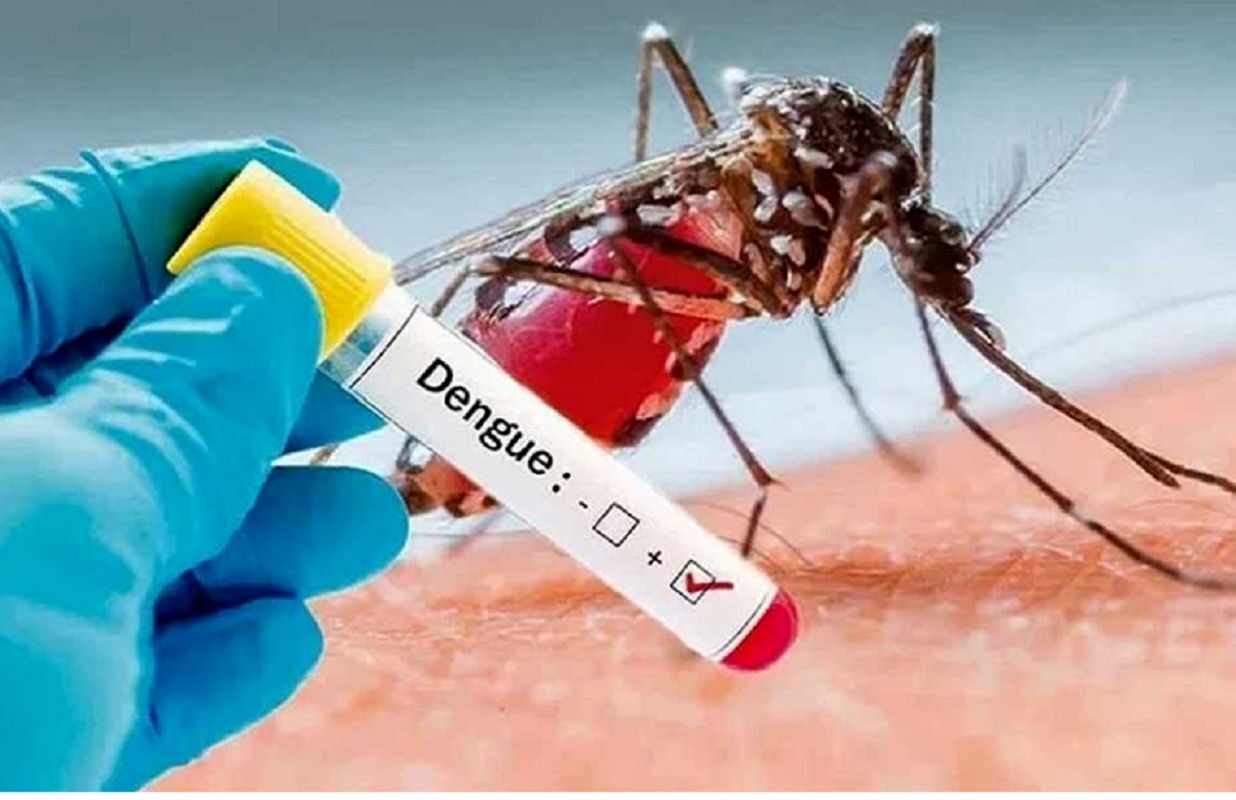 بیماری های قابل انتقال از ناقل مهاجم آئدس، دستورالعمل مراقبت انسانی تب دنگی 